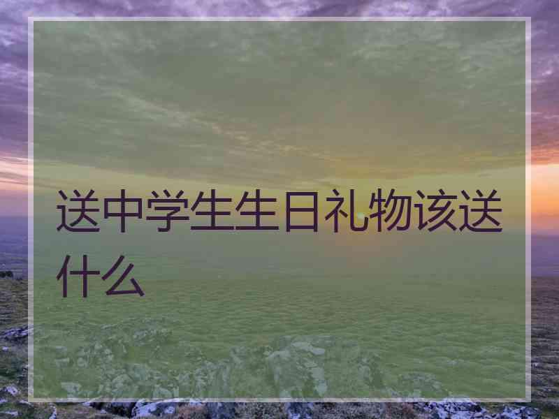 送中学生生日礼物该送什么