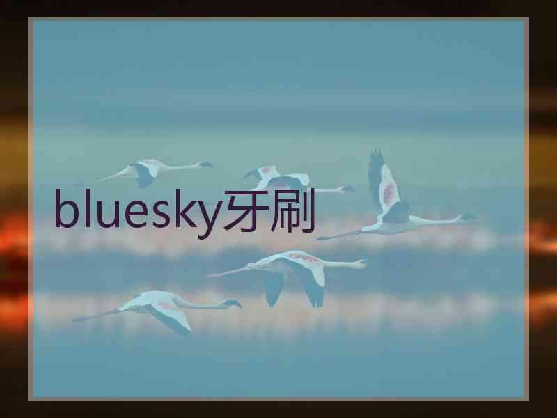 bluesky牙刷