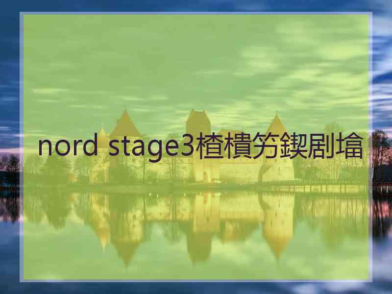 nord stage3楂樻竻鍥剧墖