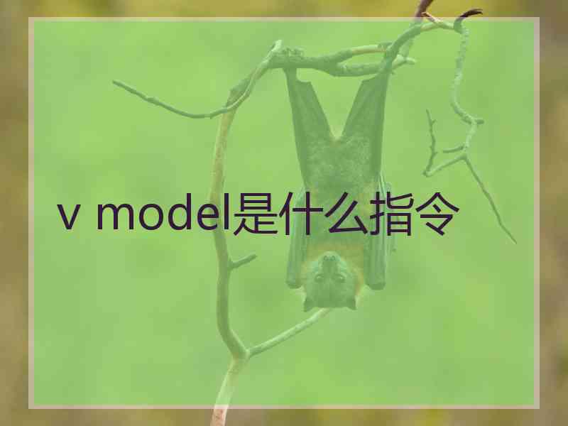 v model是什么指令