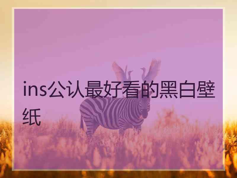 ins公认最好看的黑白壁纸