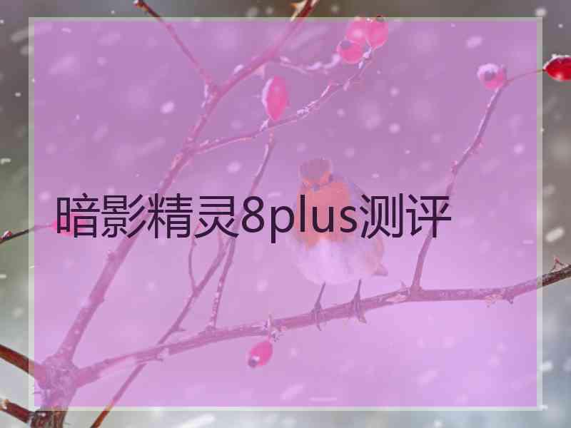 暗影精灵8plus测评