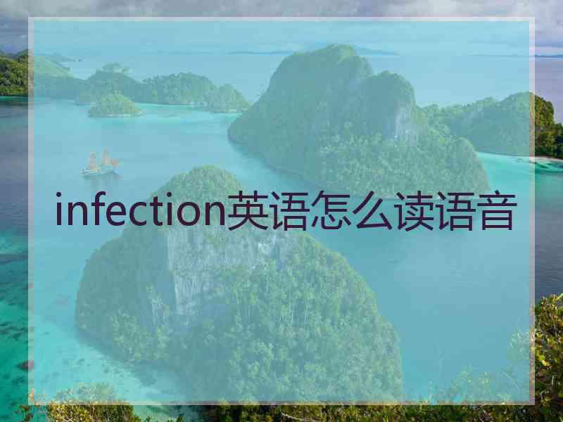 infection英语怎么读语音