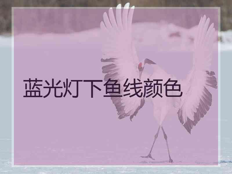 蓝光灯下鱼线颜色