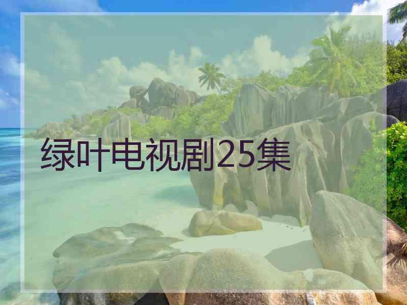 绿叶电视剧25集