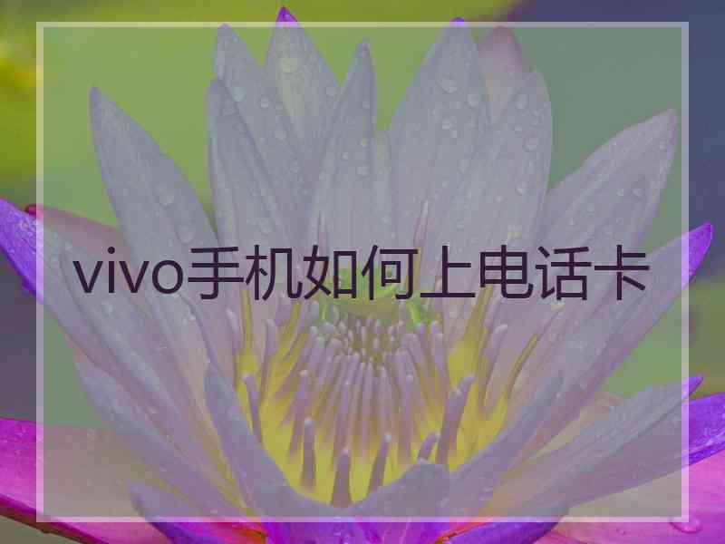 vivo手机如何上电话卡