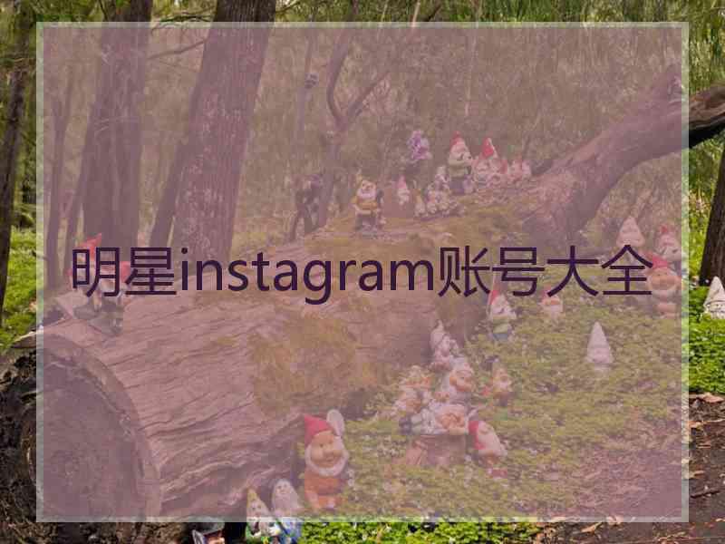 明星instagram账号大全