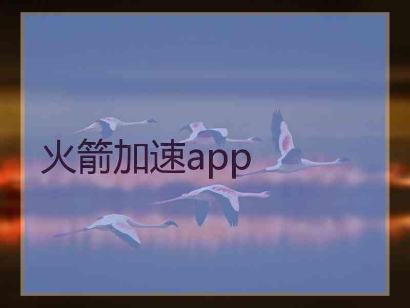 火箭加速app