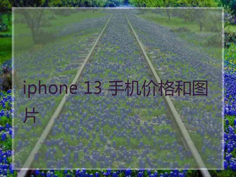 iphone 13 手机价格和图片