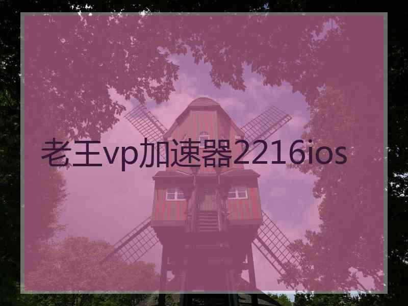 老王vp加速器2216ios