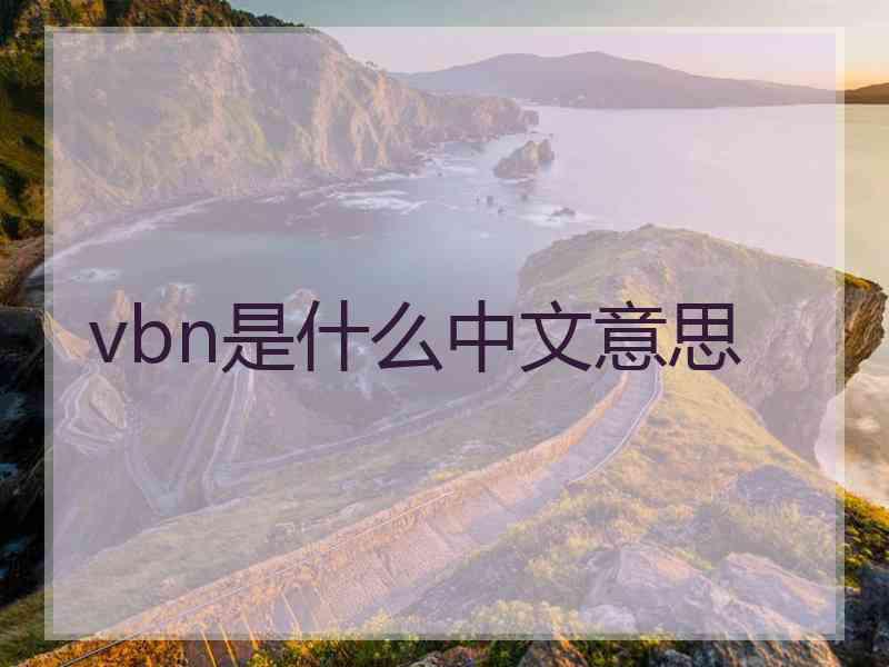 vbn是什么中文意思