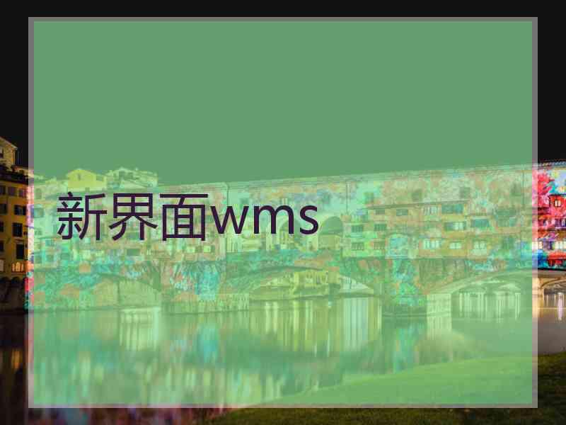 新界面wms