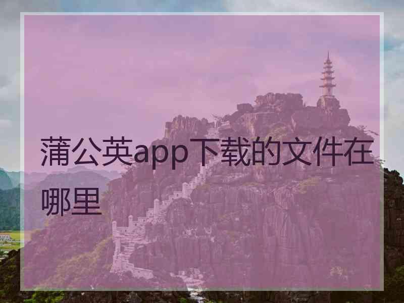 蒲公英app下载的文件在哪里