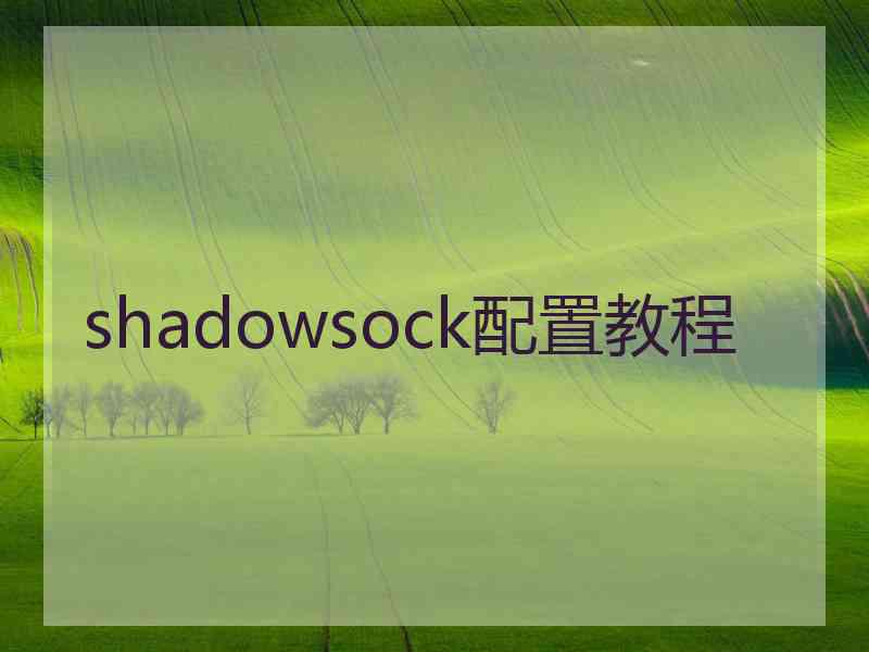 shadowsock配置教程