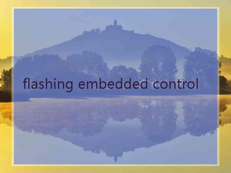 flashing embedded control