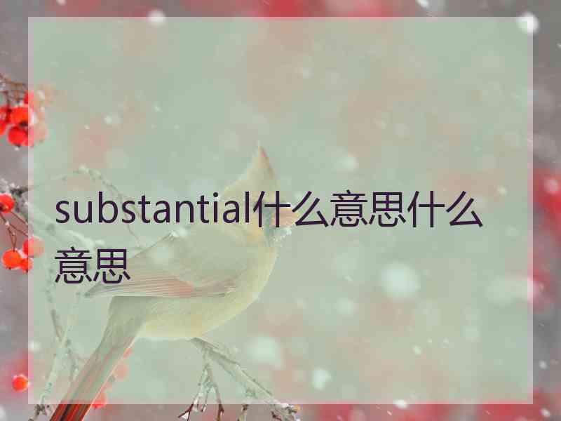 substantial什么意思什么意思