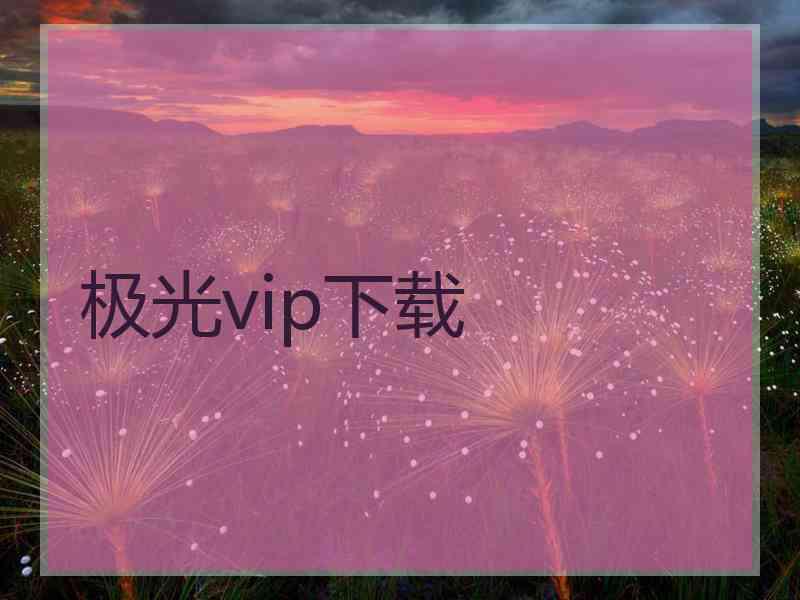 极光vip下载