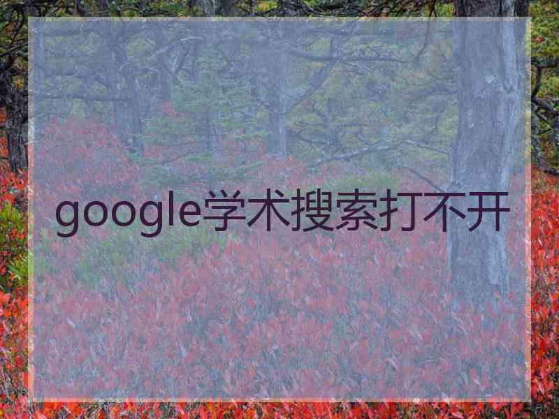 google学术搜索打不开