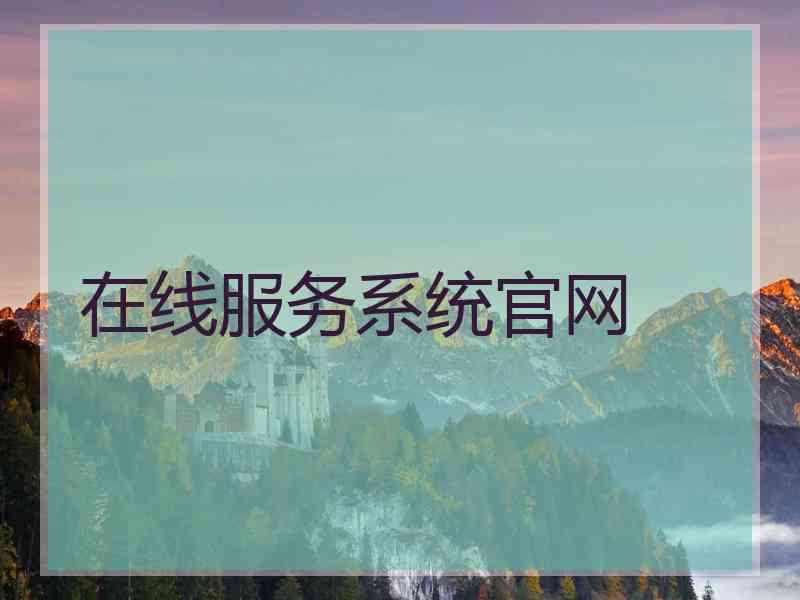 在线服务系统官网