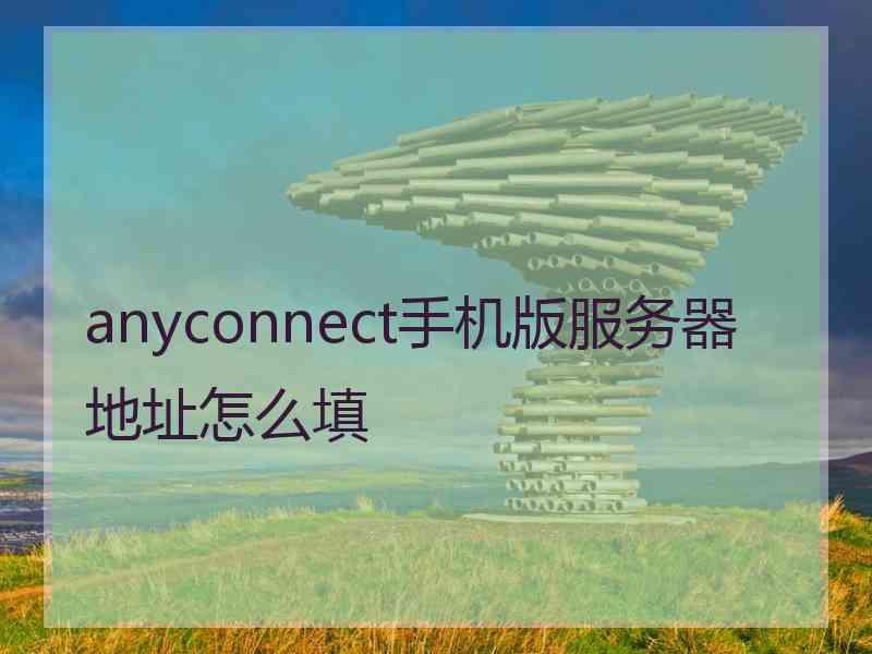 anyconnect手机版服务器地址怎么填