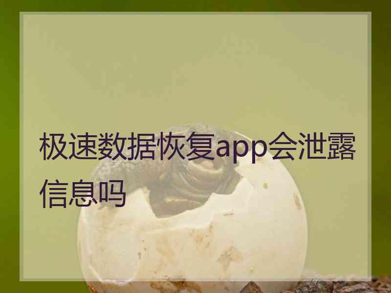 极速数据恢复app会泄露信息吗