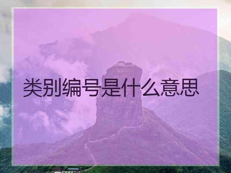 类别编号是什么意思