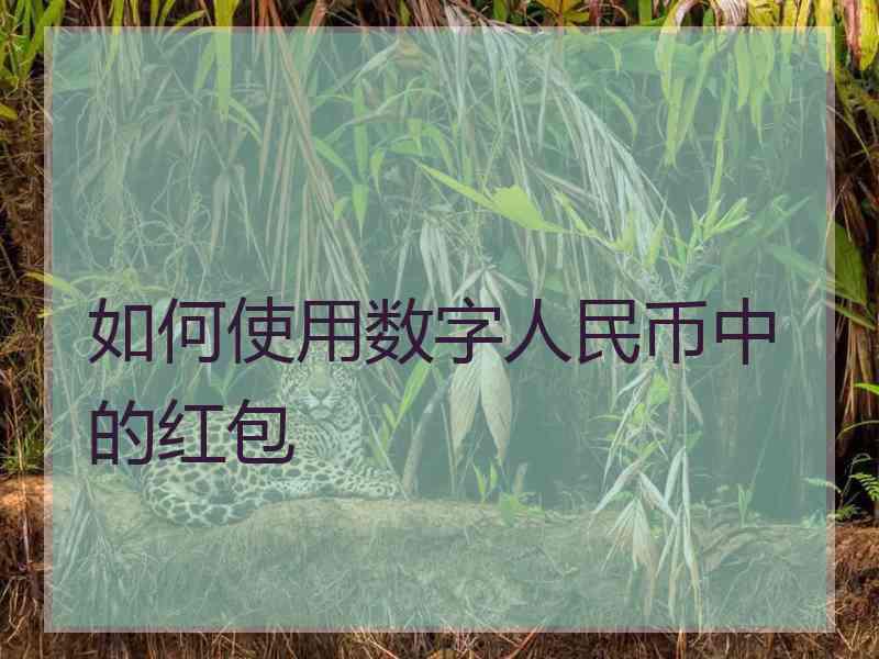 如何使用数字人民币中的红包