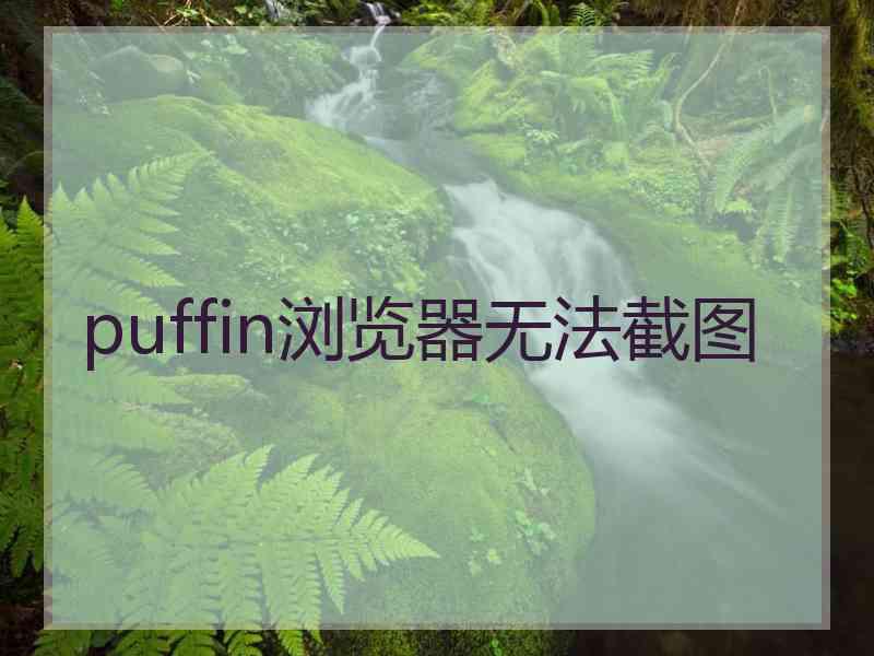 puffin浏览器无法截图