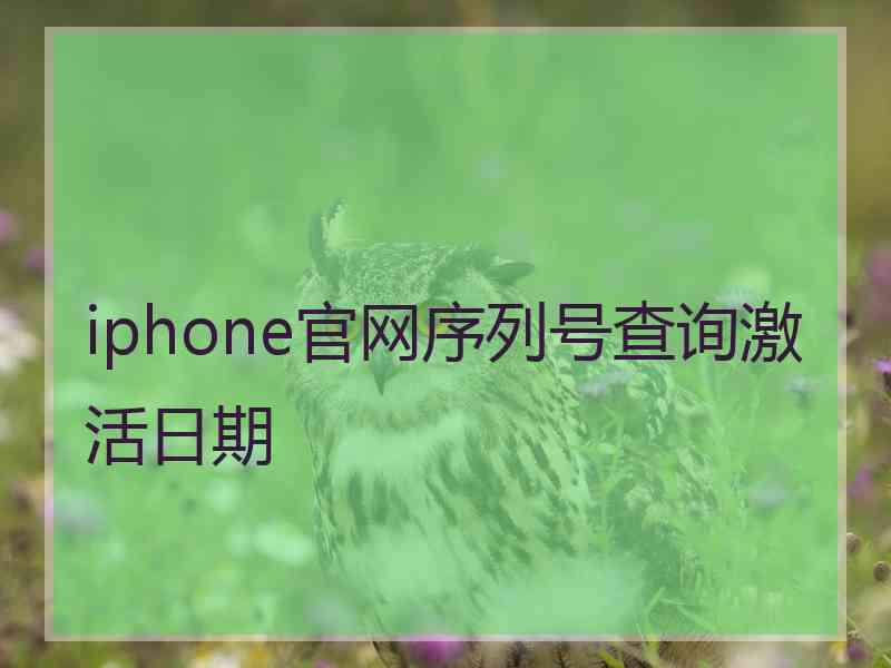 iphone官网序列号查询激活日期