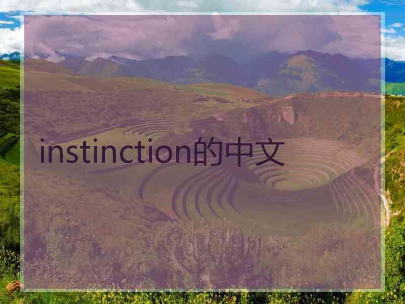 instinction的中文