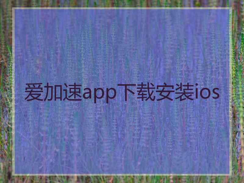 爱加速app下载安装ios