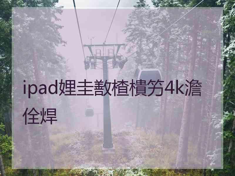 ipad娌圭敾楂樻竻4k澹佺焊