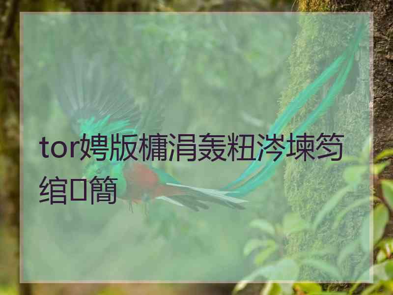 tor娉版槦涓轰粈涔堜笉绾簡