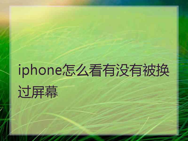 iphone怎么看有没有被换过屏幕