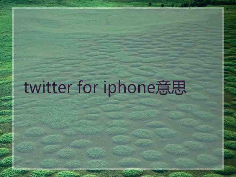 twitter for iphone意思