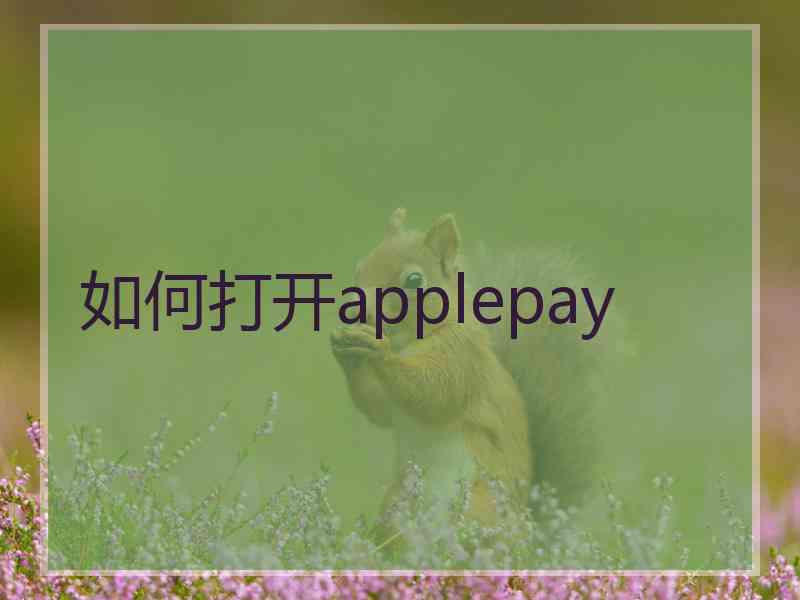 如何打开applepay