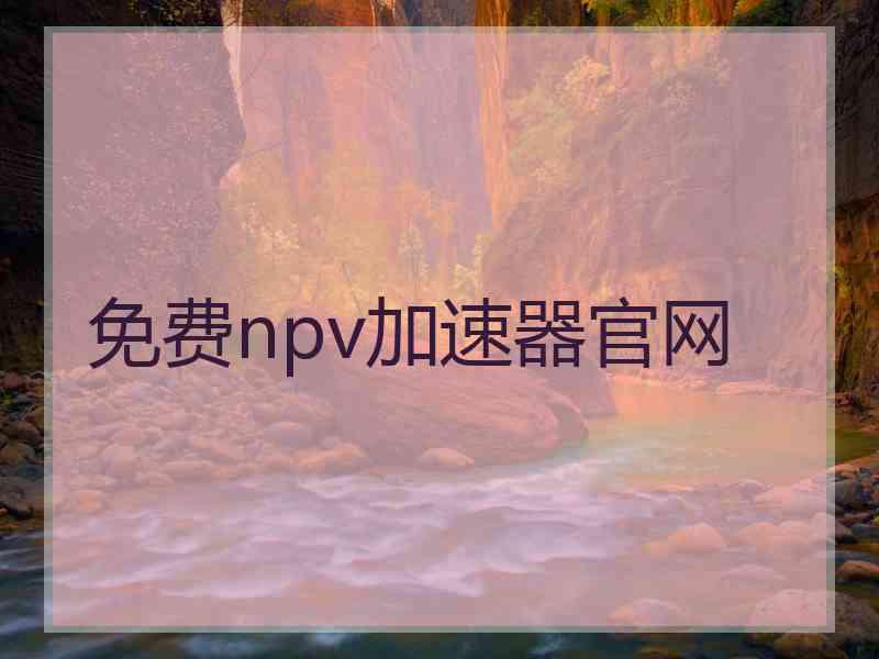 免费npv加速器官网