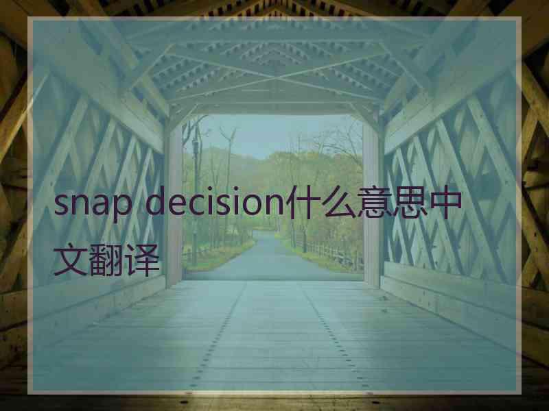 snap decision什么意思中文翻译