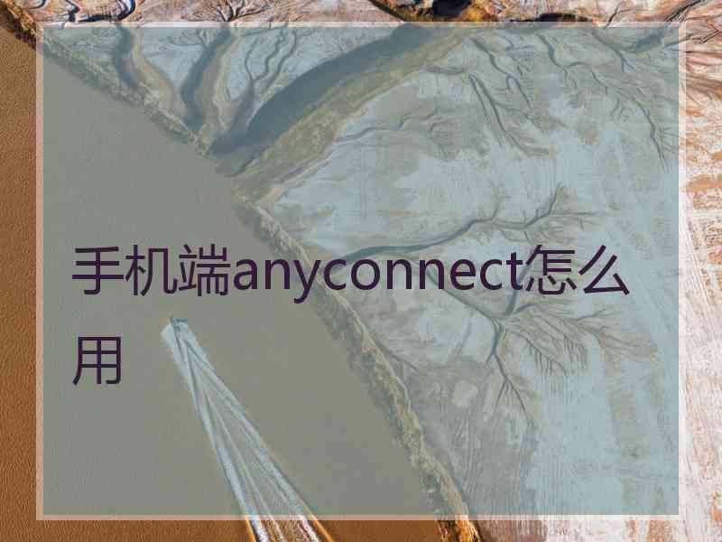 手机端anyconnect怎么用