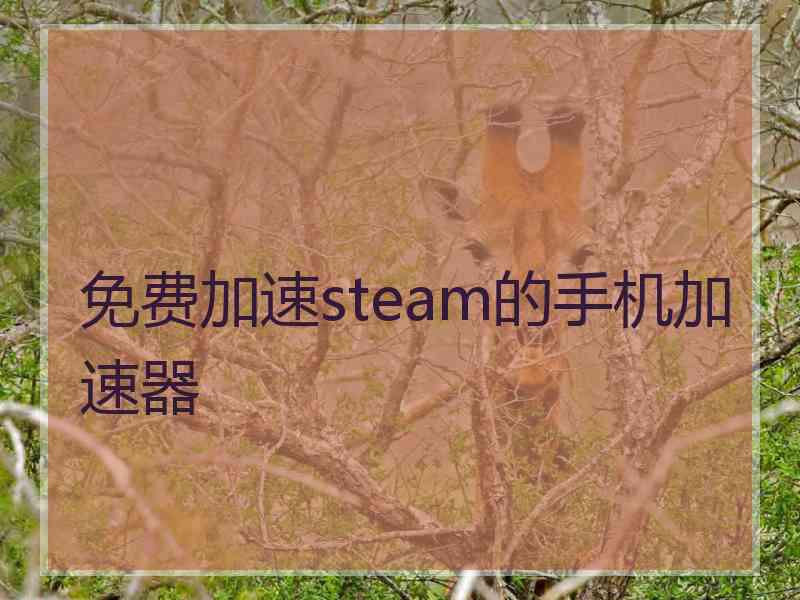 免费加速steam的手机加速器