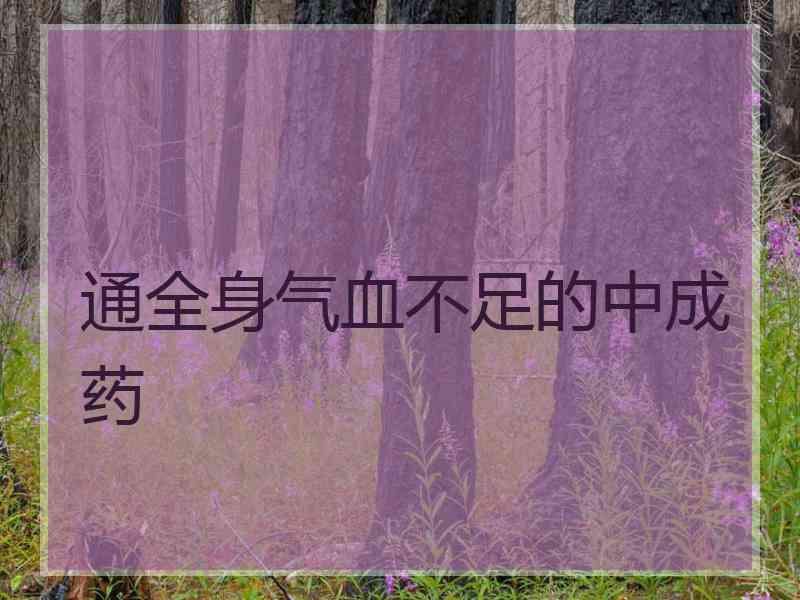 通全身气血不足的中成药