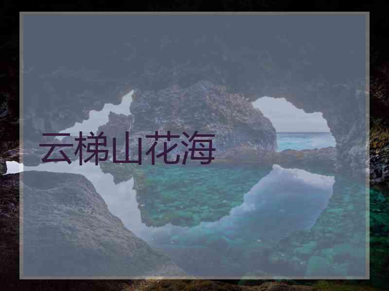 云梯山花海