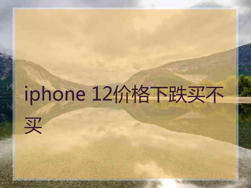 iphone 12价格下跌买不买