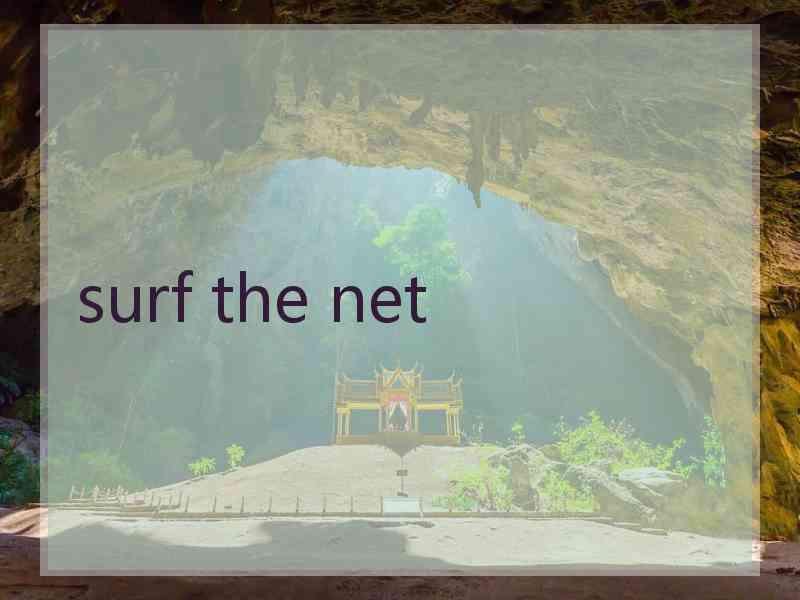 surf the net