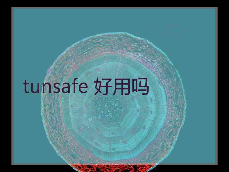 tunsafe 好用吗