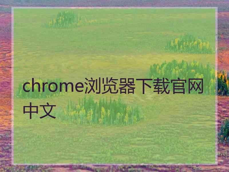 chrome浏览器下载官网中文