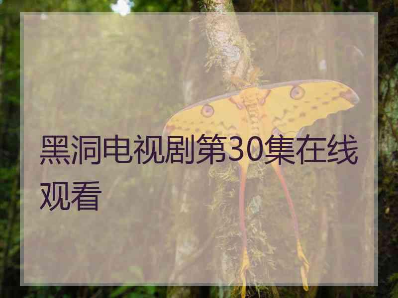 黑洞电视剧第30集在线观看