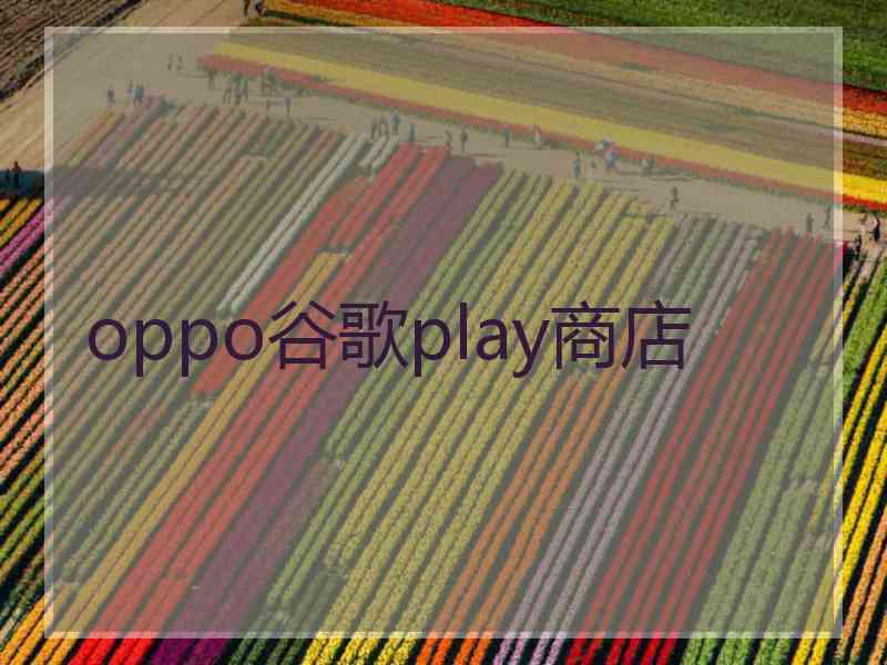 oppo谷歌play商店