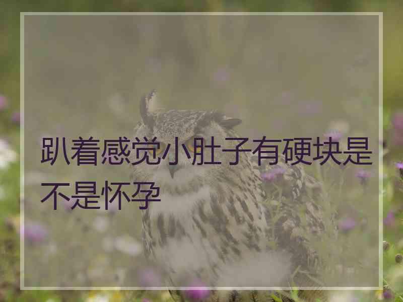 趴着感觉小肚子有硬块是不是怀孕