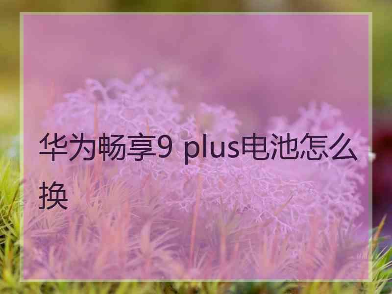 华为畅享9 plus电池怎么换